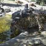 FITS_210 (May 04, 2019)